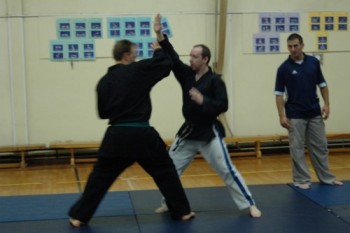 Adult Martial Arts class
